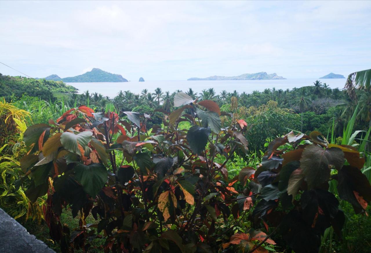 Moheli Vanilla Lodge Nioumachoua Eksteriør billede
